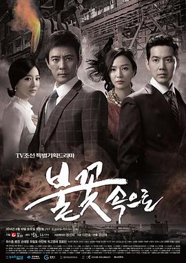 东丽区网站优化哪家好